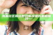 海角社區(qū)粉絲數(shù)檢視及增長(zhǎng)策略探討