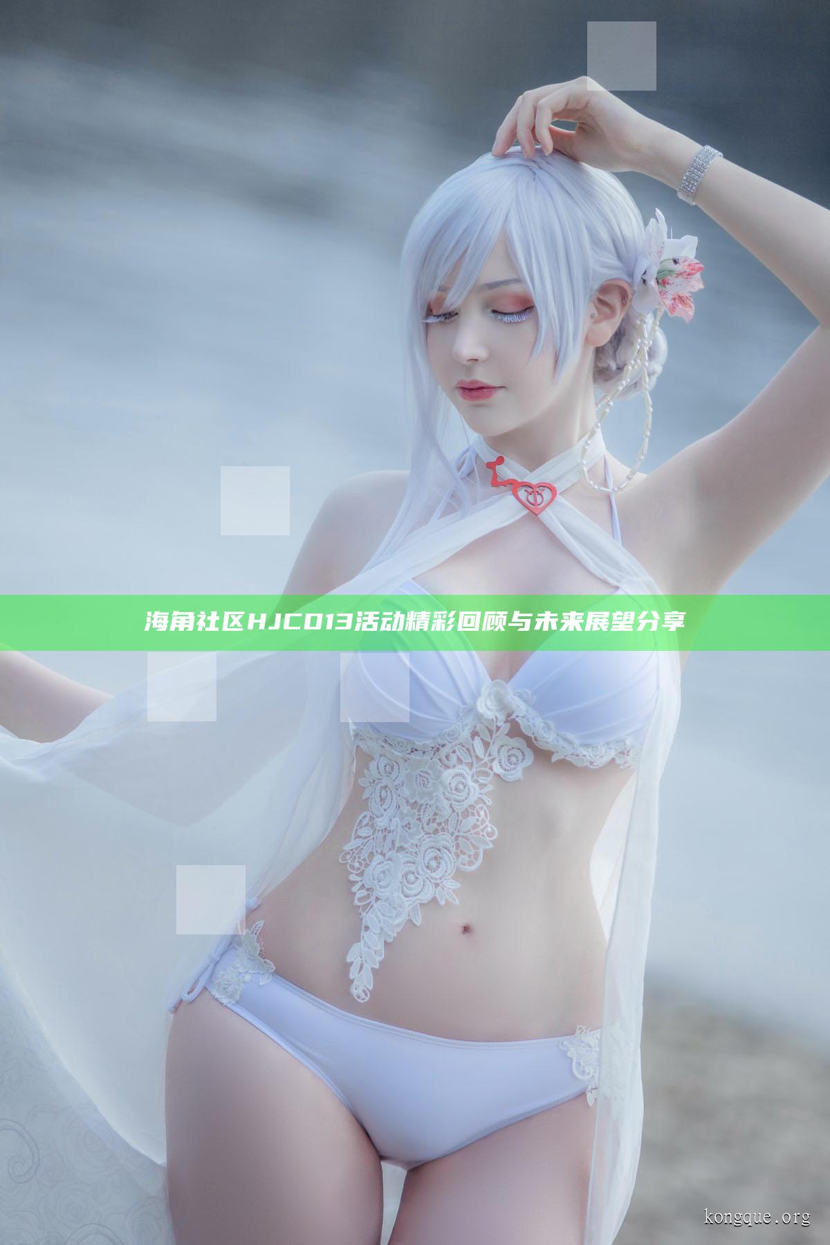 海角社區(qū)HJCD13活動精彩回顧與未來展望分享
