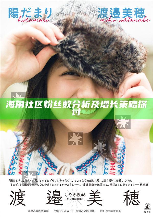 海角社區(qū)粉絲數(shù)研究及增長策略探討