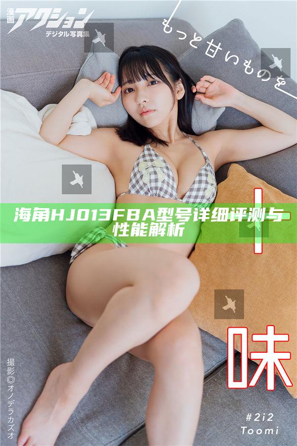 海角HJ013FBA型號詳細評測與性能解析